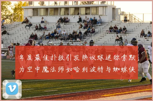 年度最佳扑救引发热议球迷称索默为空中魔法师如哈利波特与蜘蛛侠